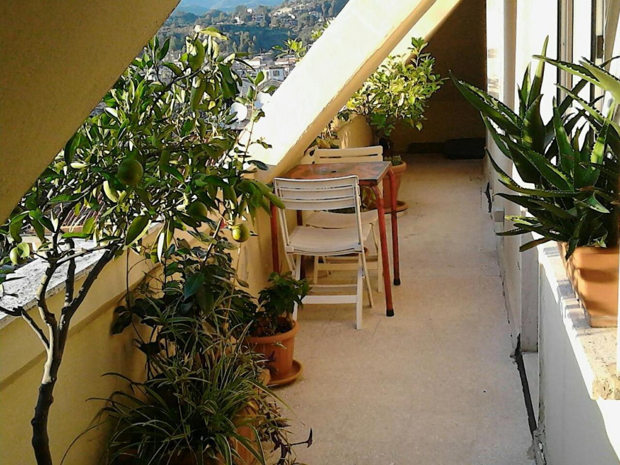 A Casa Di Lola Bed & Breakfast Ascoli Piceno Exterior photo