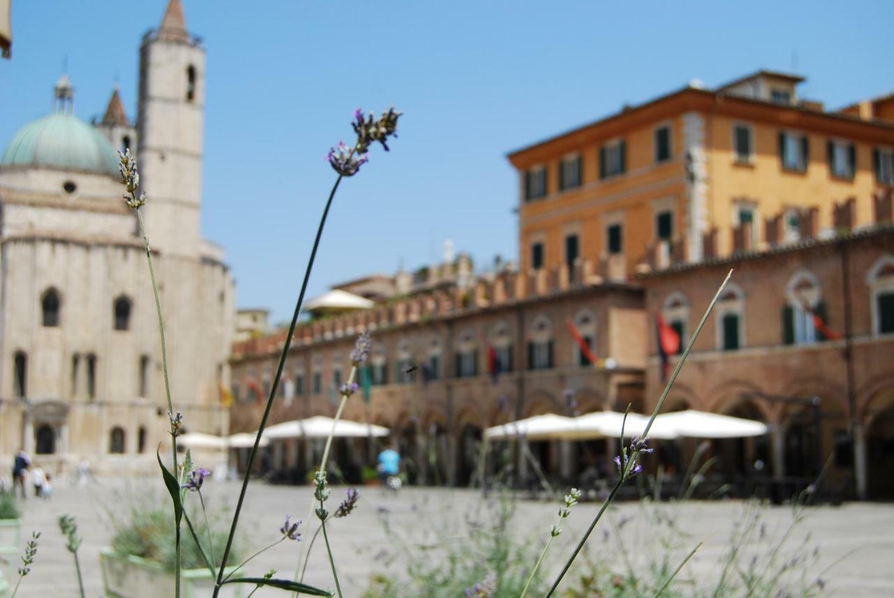 A Casa Di Lola Bed & Breakfast Ascoli Piceno Exterior photo