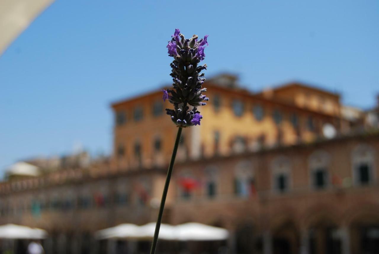 A Casa Di Lola Bed & Breakfast Ascoli Piceno Exterior photo