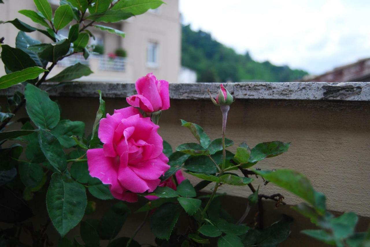 A Casa Di Lola Bed & Breakfast Ascoli Piceno Exterior photo